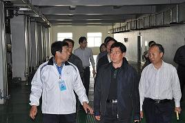 河北省委常委、副省長(zhǎng)楊崇勇到我公司視察