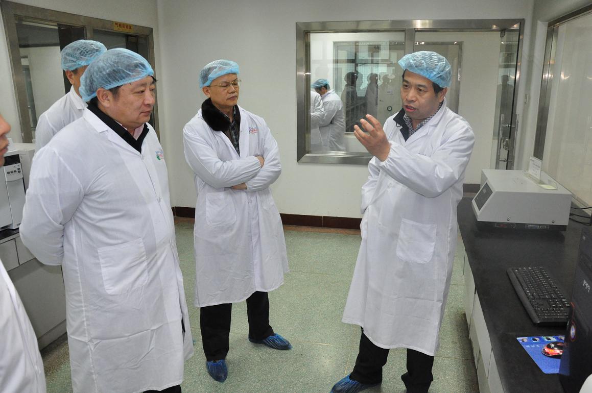 中共安國(guó)市委書記韓占山來我公司考察